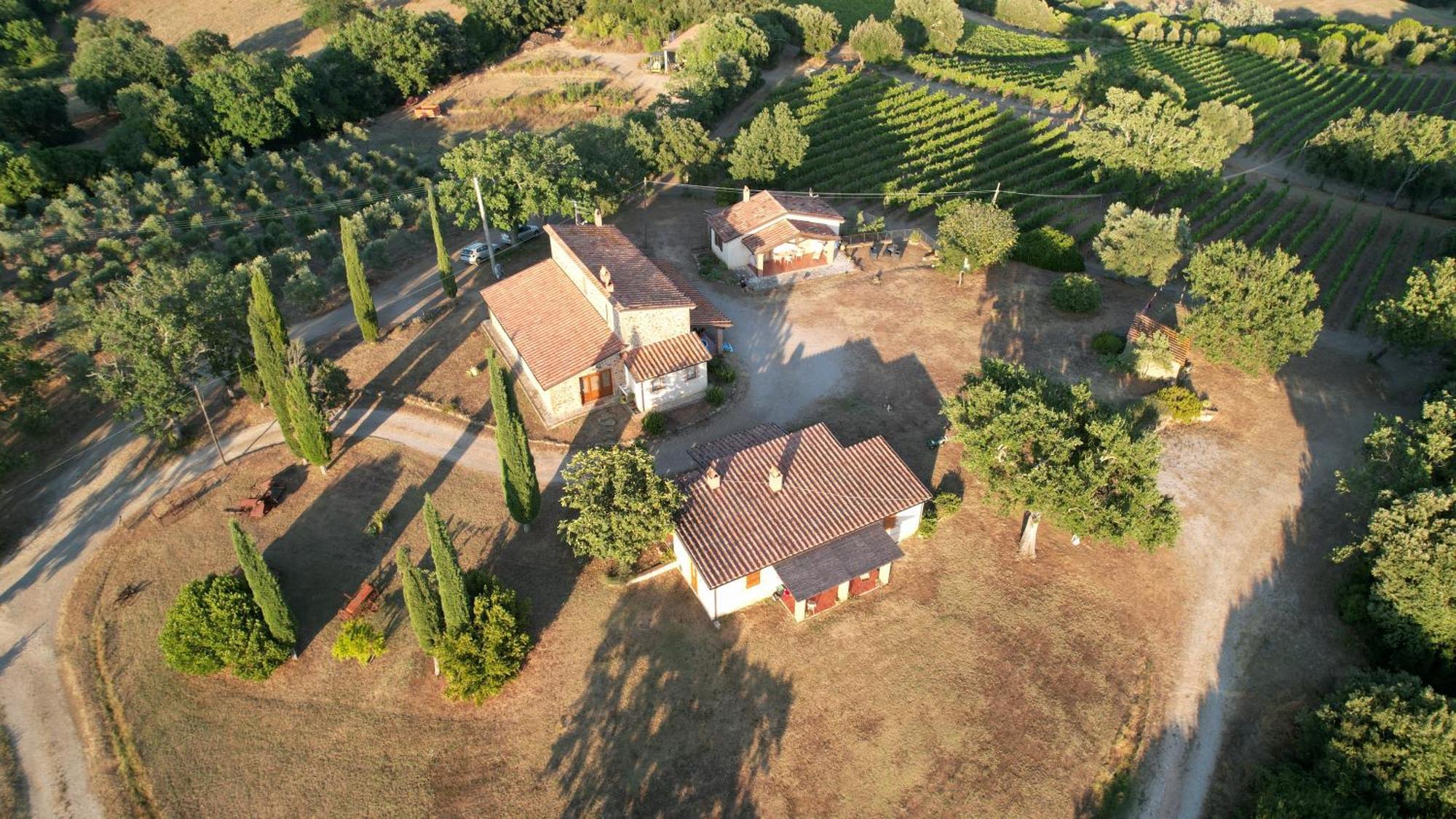 Agriturismo Belvedere Di Pierini E Brugi Campagnatico Exterior foto