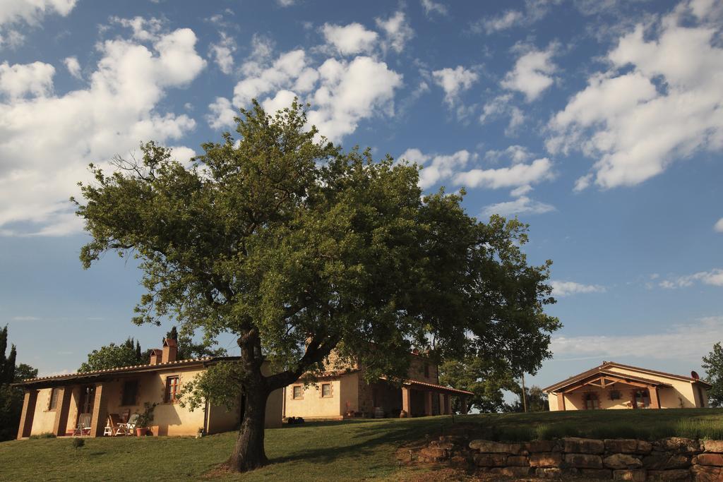 Agriturismo Belvedere Di Pierini E Brugi Campagnatico Exterior foto
