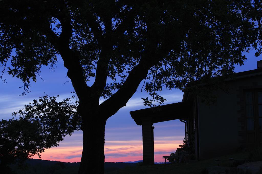 Agriturismo Belvedere Di Pierini E Brugi Campagnatico Quarto foto